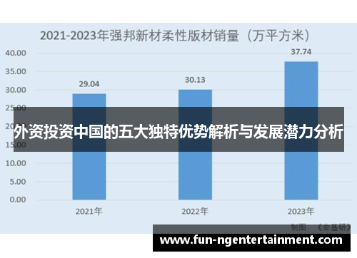 外资投资中国的五大独特优势解析与发展潜力分析