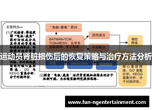 运动员肾脏损伤后的恢复策略与治疗方法分析
