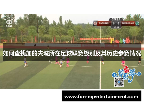 如何查找加的夫城所在足球联赛级别及其历史参赛情况 如何查找加的夫城所在足球联赛级别及其历史参赛情况