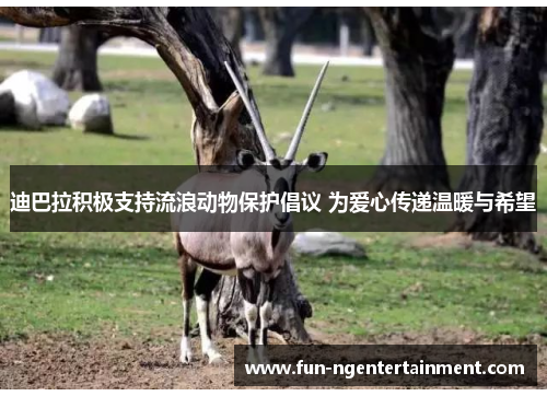 迪巴拉积极支持流浪动物保护倡议 为爱心传递温暖与希望 迪巴拉积极支持流浪动物保护倡议 为爱心传递温暖与希望