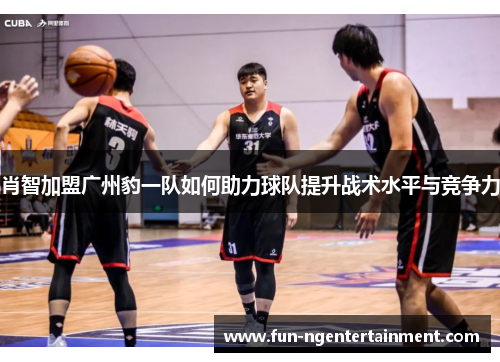 肖智加盟广州豹一队如何助力球队提升战术水平与竞争力