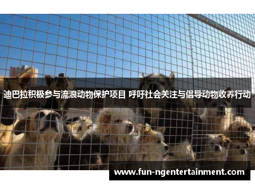 迪巴拉积极参与流浪动物保护项目 呼吁社会关注与倡导动物收养行动